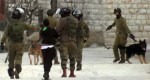460_0___10000000_0_0_0_0_0_20141223_military_dogs_in_beit_omar