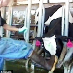 61a44aad-7684-431a-9929-4d3881e58b5a