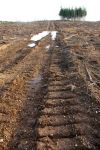 Biomass_tracks