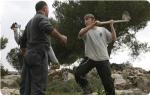 DataFiles-Cache-TempImgs-2013-1-images_News_2013_03_10_settlers-attack_300_0