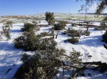 p1060765_800-600×450