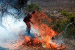 palestinian-policeman-puts-out-fire-to-olive-tress-west-bank-burin