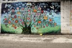 tree-grafitti-balata-USE