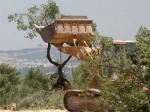 westbank_bulldozer_trees_olives