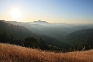 4003792236_1f905ec4c3