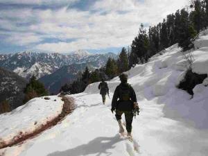 dz-pop-1162013LOC-PIC-FAROOQ-JAVED2