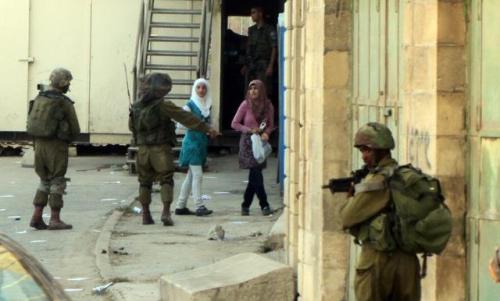 a walk on the wild side