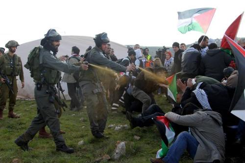 554551_560142533996055_415696570_n