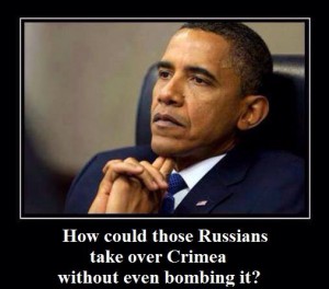 969321_294553067360127_845462323_n-300x264