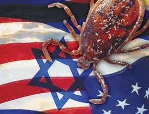 4_Israeli_Parasite-300x231