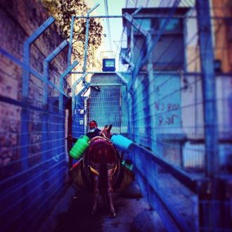 1503631_10155042835460647_2568974929906096407_n