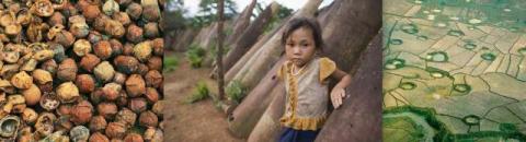 bombis,girl&bomb,craters.preview