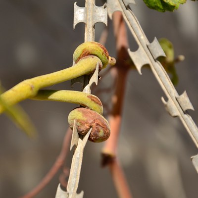 12ee1b01-b65c-41cb-b51b-60f0531eb3e1