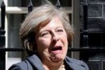 maybot