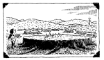 Girl+Stump