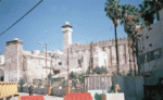 ibrahimi3-pnn