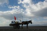 donkey-cart-4900362_640_0f0cc