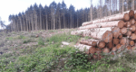 Deforestation-768×411