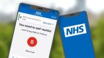 nhs-test-and-trace-app-650×366