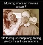 10-240347594_202827945163117_8359987847355607233_n