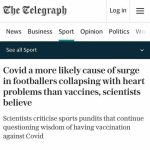 https___bucketeer-e05bbc84-baa3-437e-9518-adb32be77984.s3.amazonaws.com_public_images_06d1bbba-548e-4fa3-99c7-99e7f2eeef6f_960x960