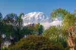 kilimanjaro-pixabay-1-696×464