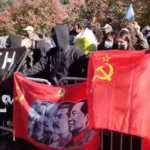 Nov. 7