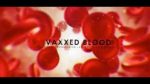 vaxxed blood