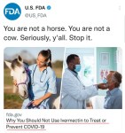 42bfba45-6035-44b5-8be3-04d131c6d441_1068x1137