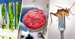 great-food-reset-global-supply-feature-800×417