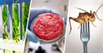 great-food-reset-global-supply-feature-800×417