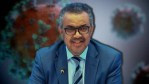 who-zero-draft-pandemic-treaty-surveillance