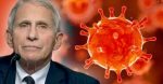 anthony-fauci-covid-nature-feature-800×417
