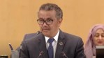 tedros-299