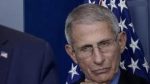 trump fauci1