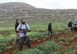 colonizershguns-e1653985960908
