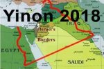 yinon+2018